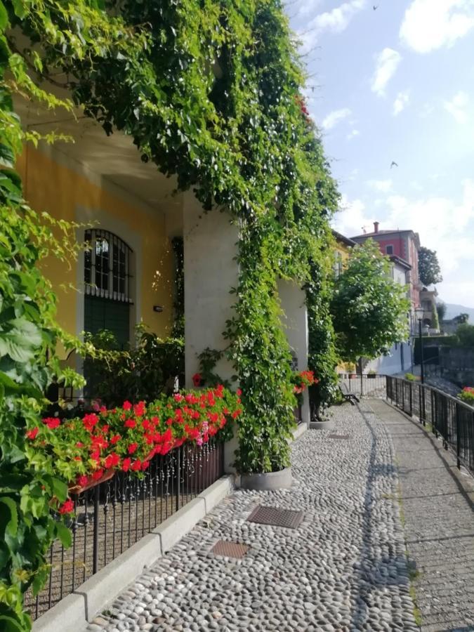 Viewtiful Homestay Stazzona Eksteriør bilde