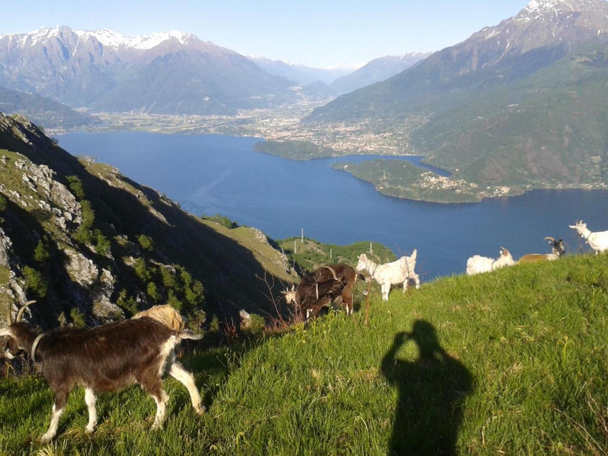 Viewtiful Homestay Stazzona Eksteriør bilde