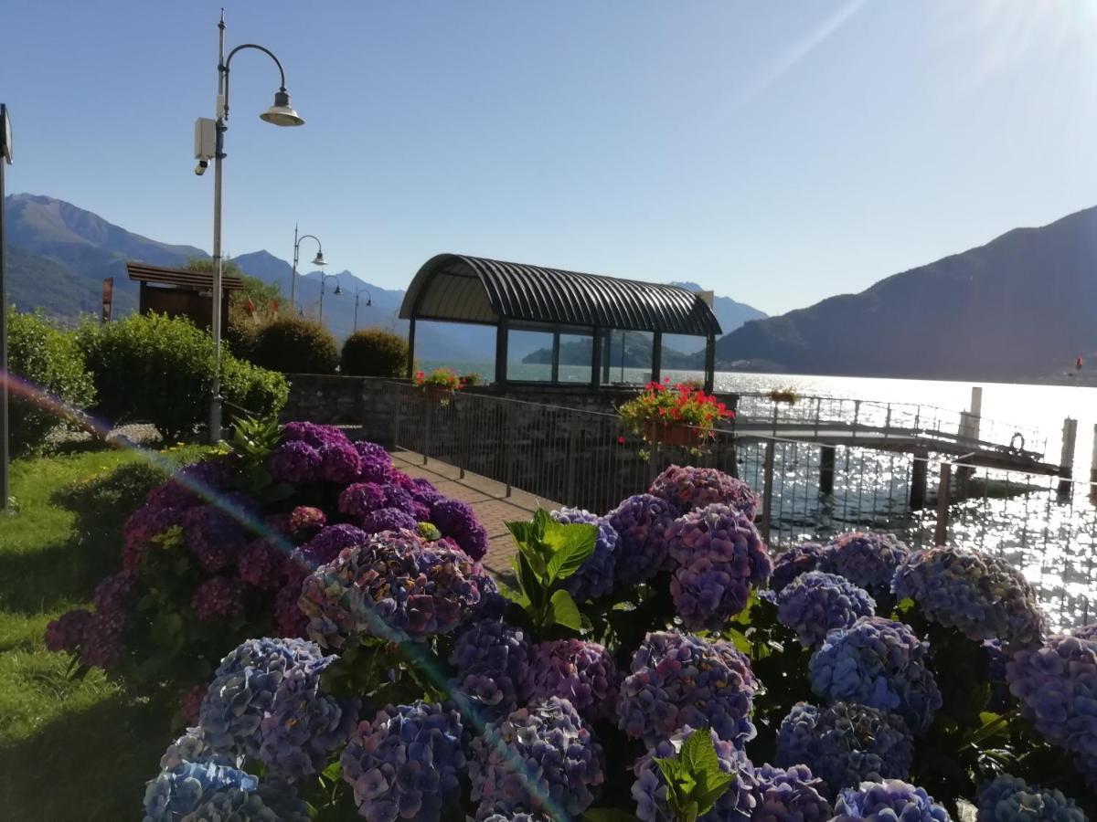 Viewtiful Homestay Stazzona Eksteriør bilde