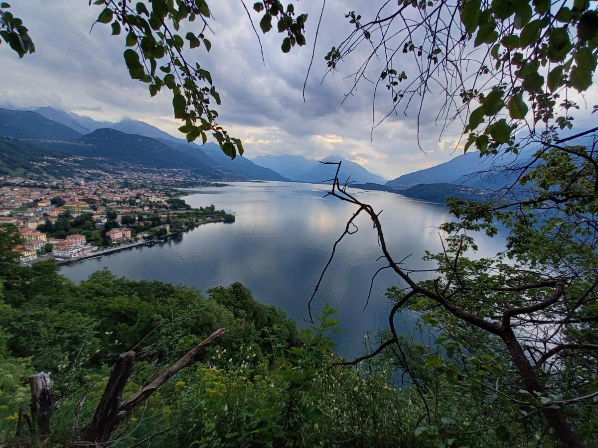 Viewtiful Homestay Stazzona Eksteriør bilde