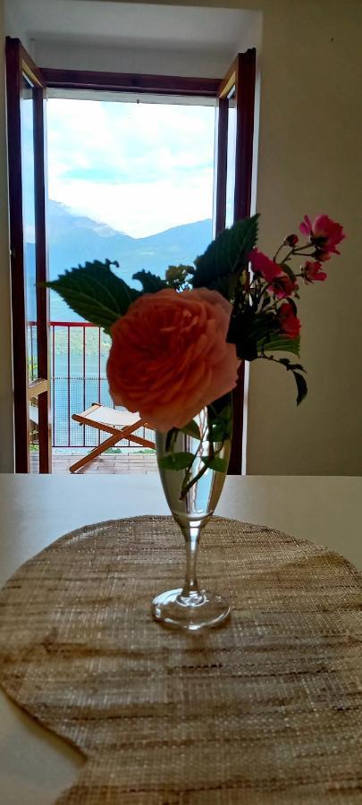 Viewtiful Homestay Stazzona Eksteriør bilde
